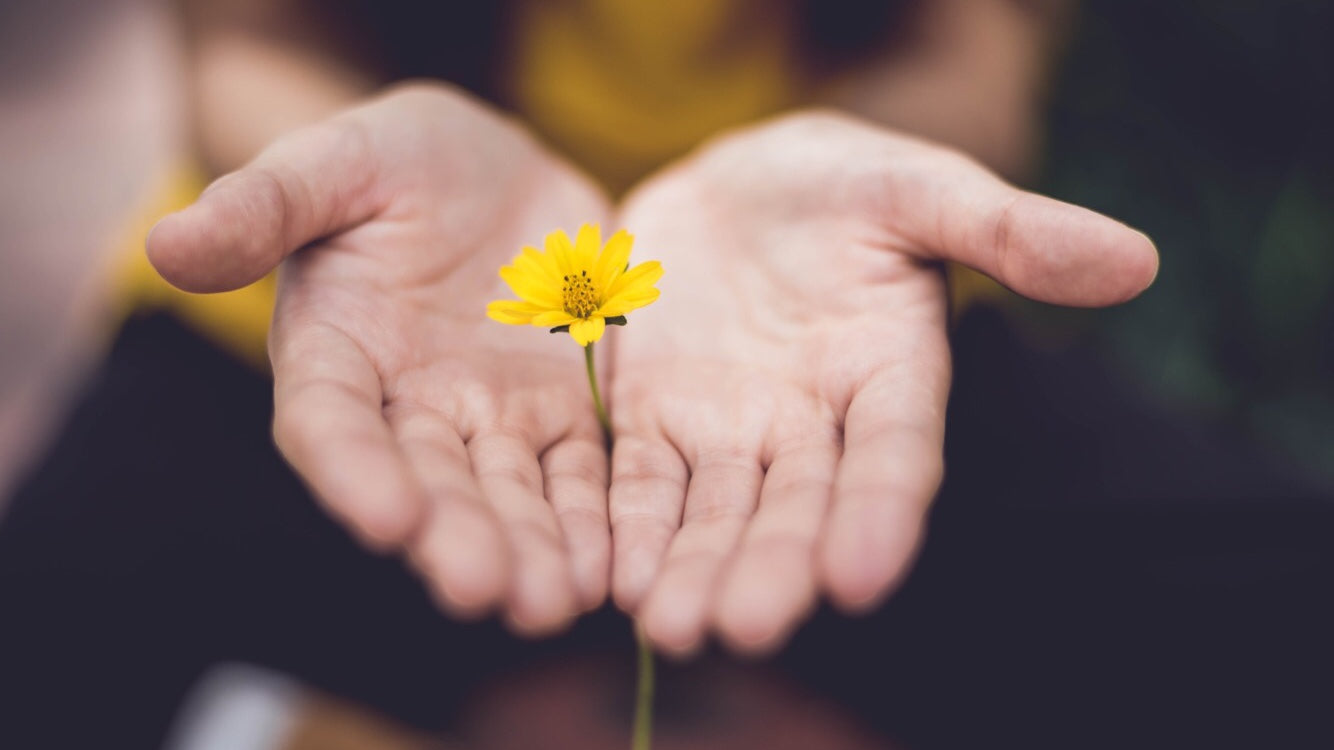 Advice from a Goddess Carol Rotko Mindfulness Instructor Clinical Psychologist
