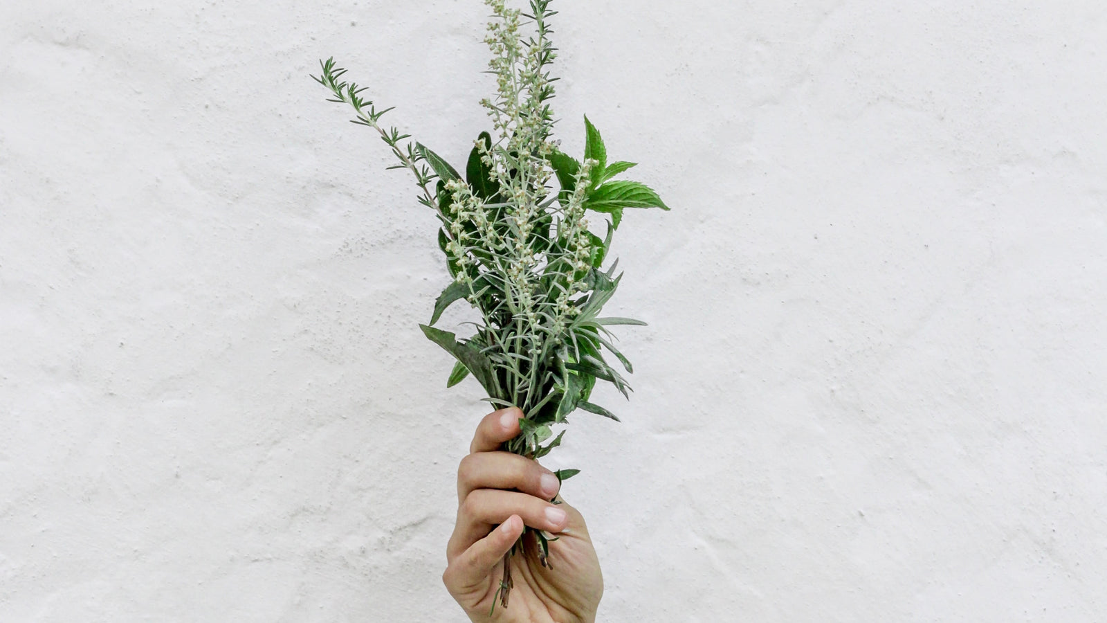Some of Our Favorite Healthy Girl Power Inspiration