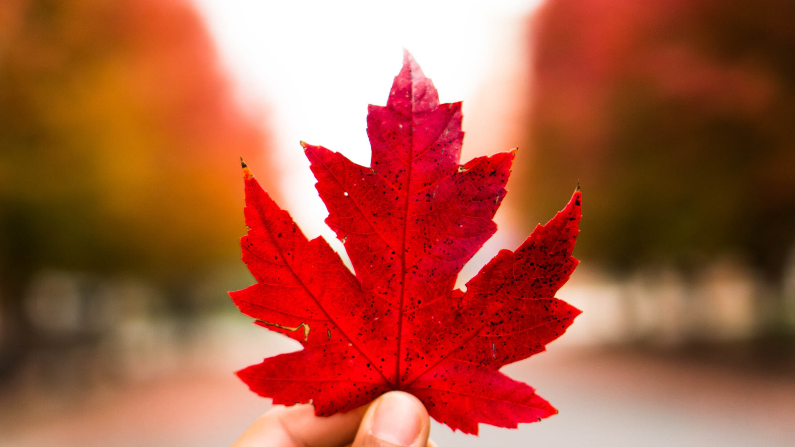 Self Love Tips for Fall