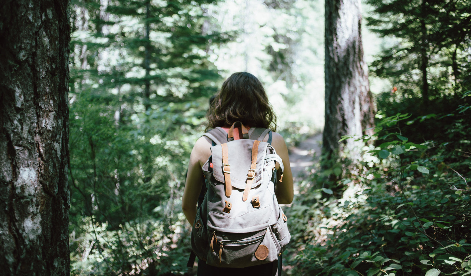How To Explore LA: Best Hikes