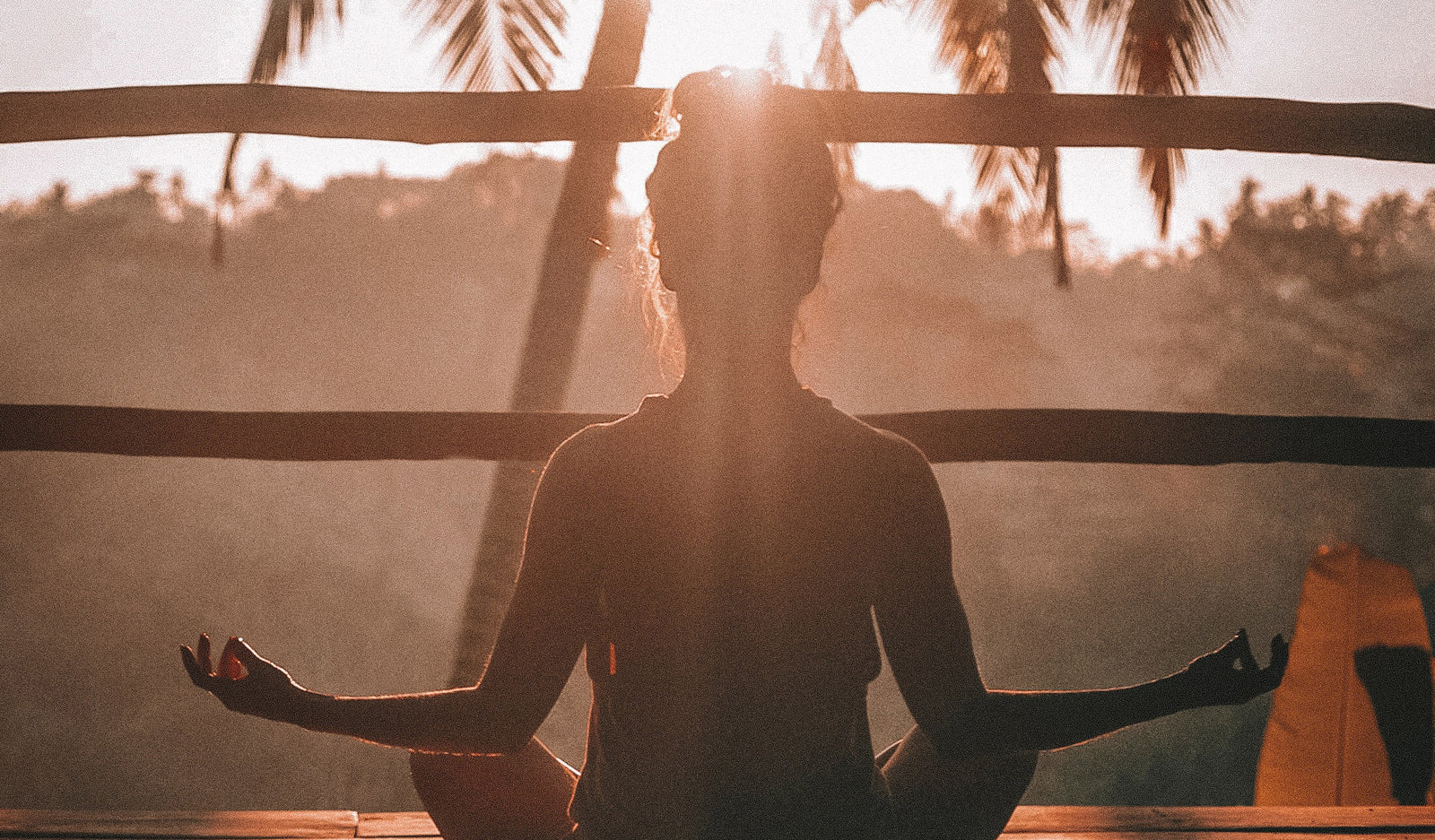Meditation Apps: Headspace vs Simple Habit