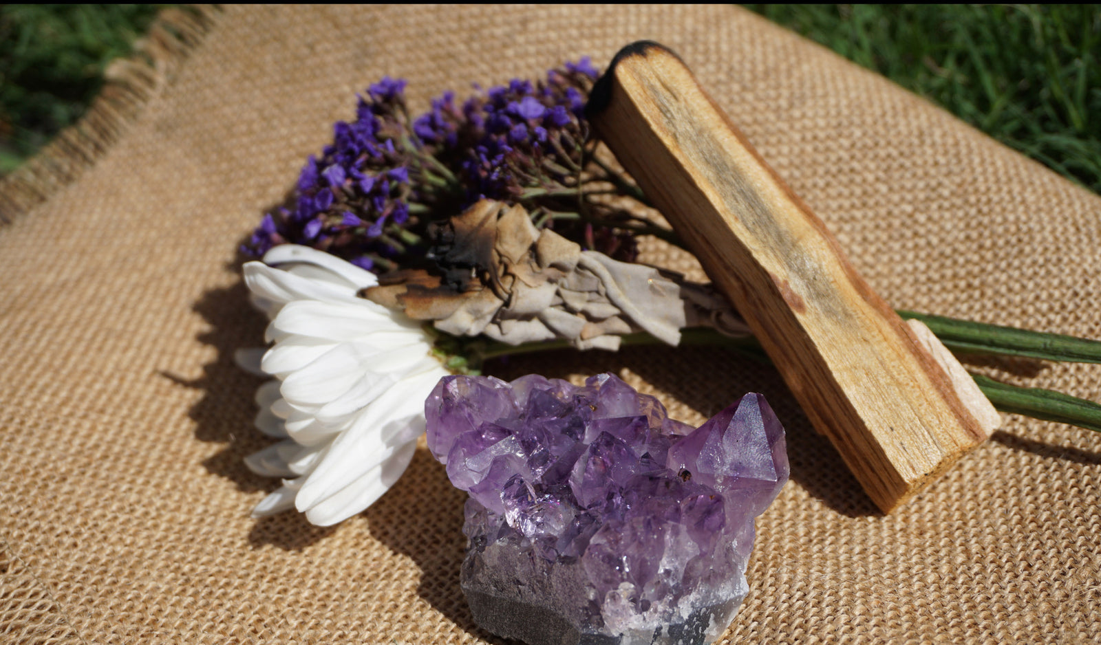 Learn More about Palo Santo