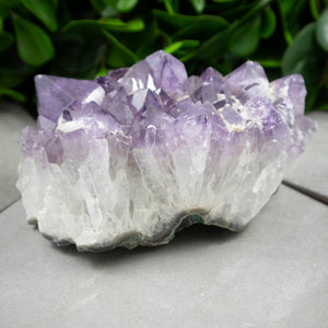 Large Amethyst Crystal Cluster - Sparkle Rock Pop