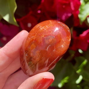 Carnelian - Sparkle Rock Pop