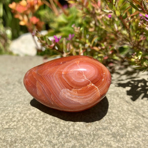 Carnelian - Sparkle Rock Pop