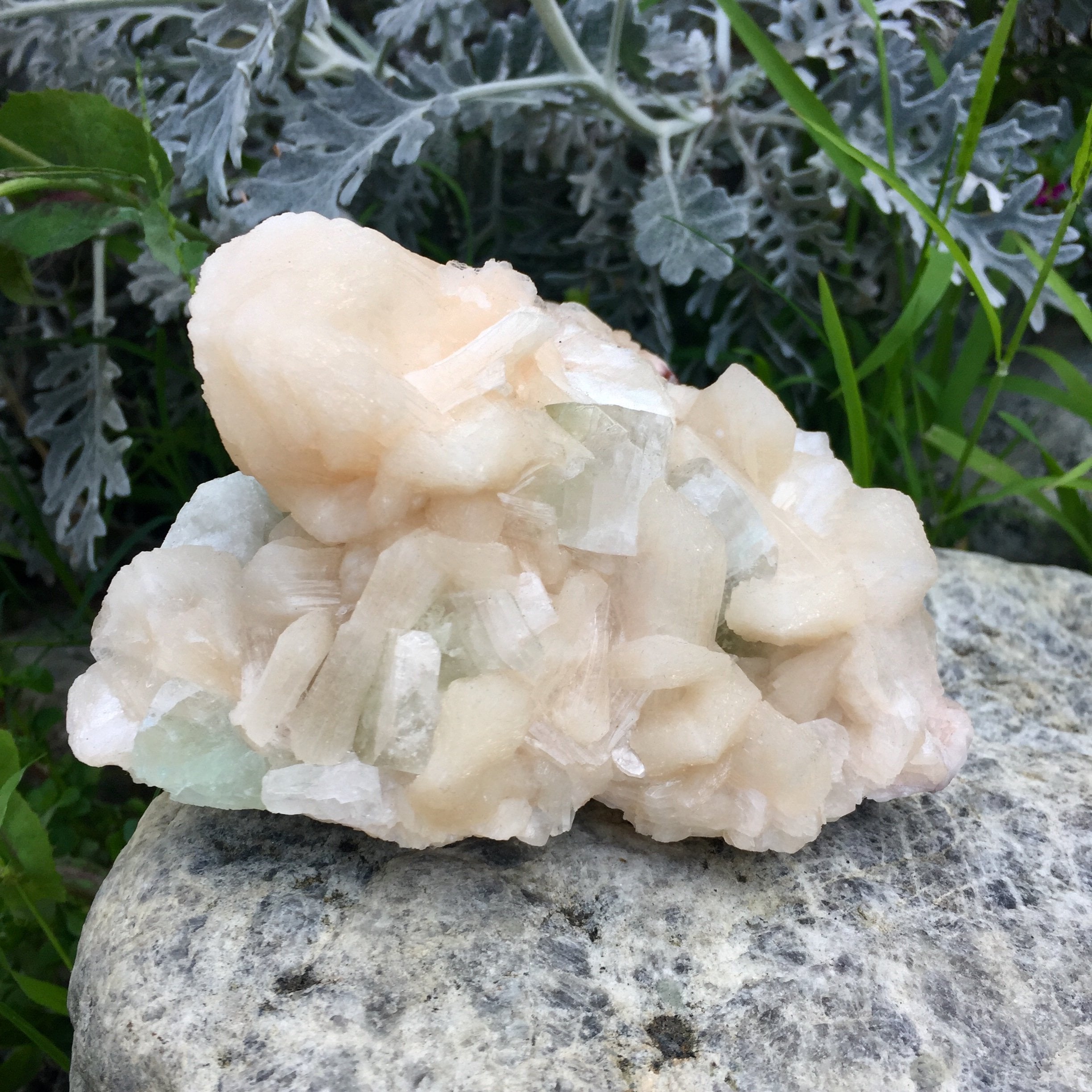 Peach Apophyllite Cluster - Sparkle Rock Pop