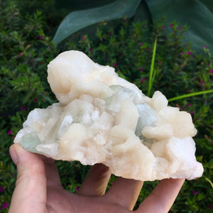 Peach Apophyllite Cluster - Sparkle Rock Pop