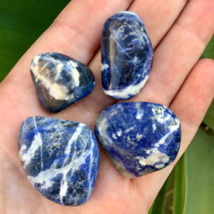 Sodalite Tumble Bag (16 oz bag, 50 total stones) - Sparkle Rock Pop