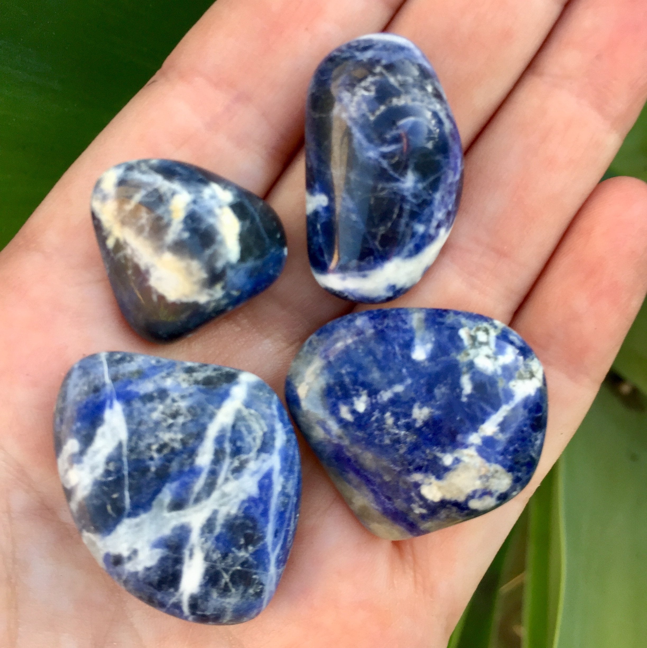 Sodalite Tumble Bag (16 oz bag, 50 total stones) - Sparkle Rock Pop