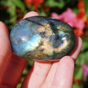 Labradorite Tumble Stone - Sparkle Rock Pop