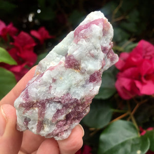 Pink Tourmaline in Quartz - Sparkle Rock Pop