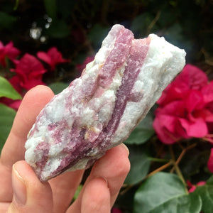 Pink Tourmaline in Quartz - Sparkle Rock Pop