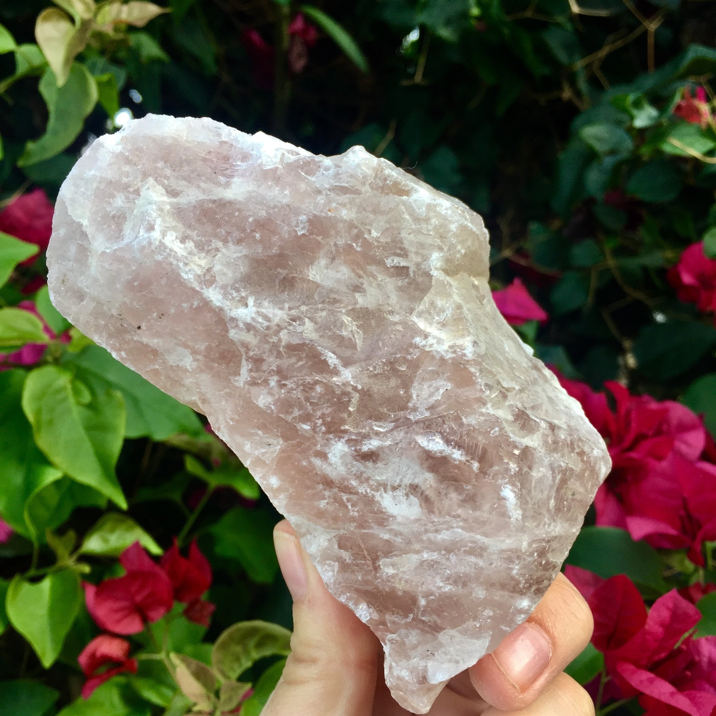Raw Rose Quartz (4 lbs) - Sparkle Rock Pop