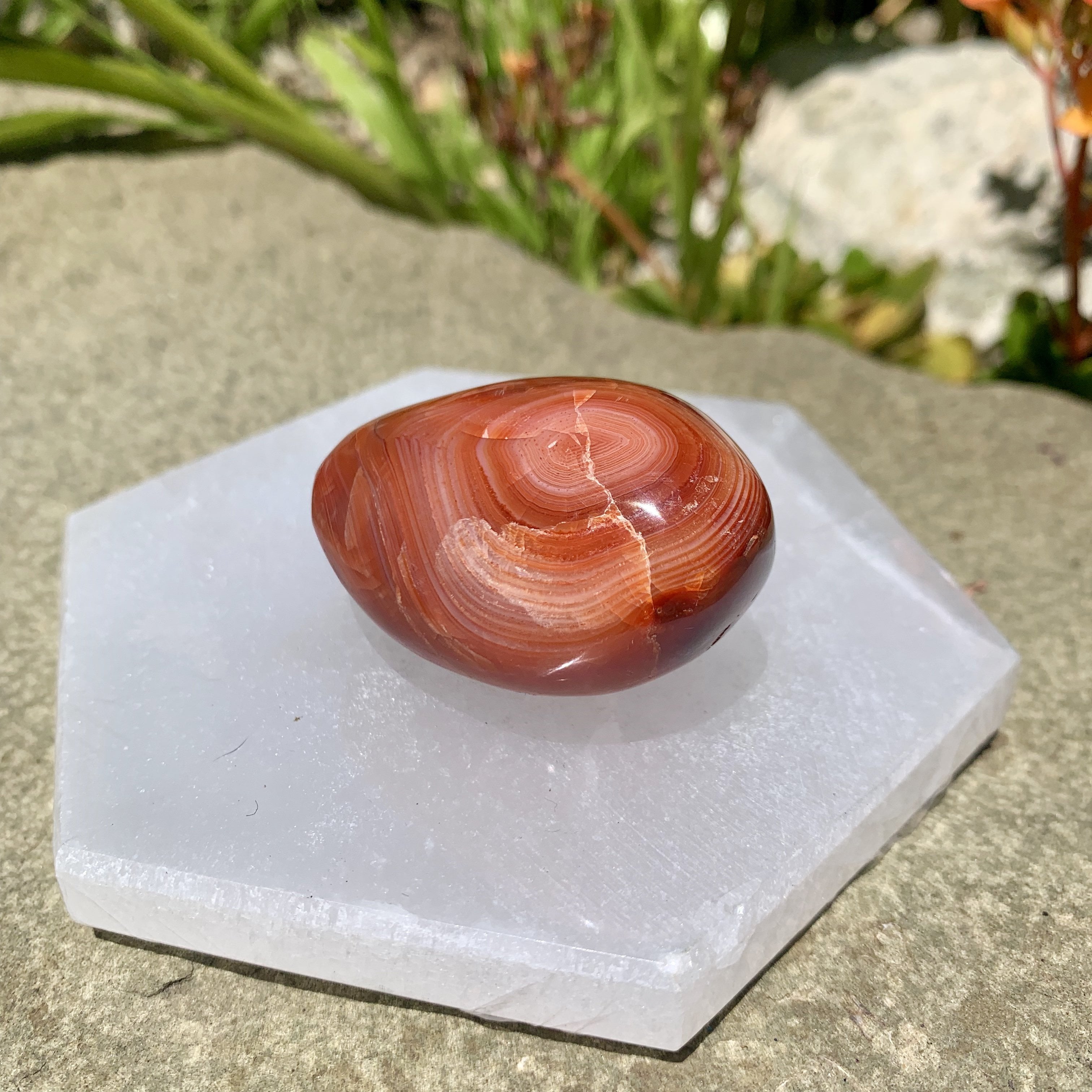 Selenite Hexagon Charging Pad - Sparkle Rock Pop