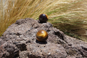 Mini Tiger Eye Sphere - Sparkle Rock Pop