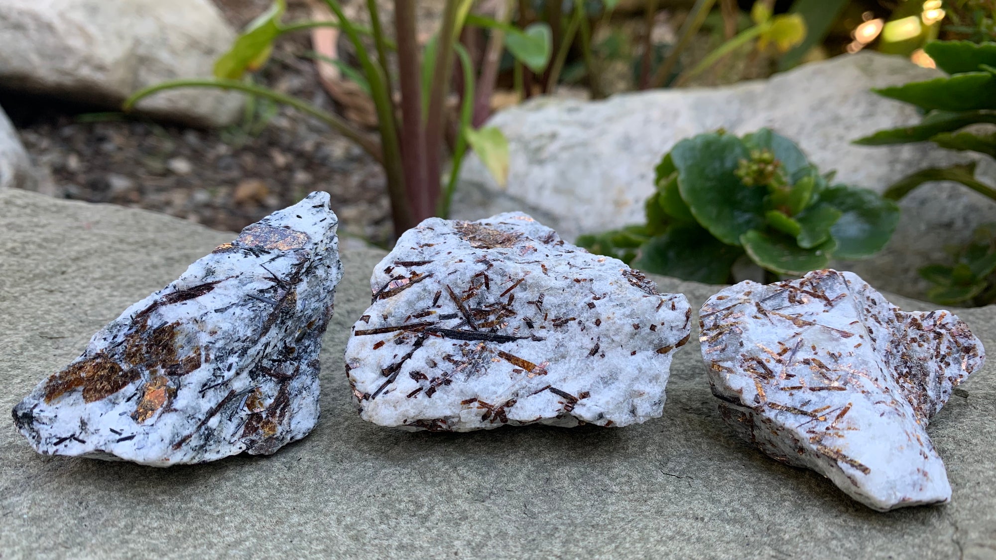 Astrophyllite Raw Crystal Metaphysical Blog -Natural Healing Gemstone - Stone of Motivation Self Growth Positivity Marriage
