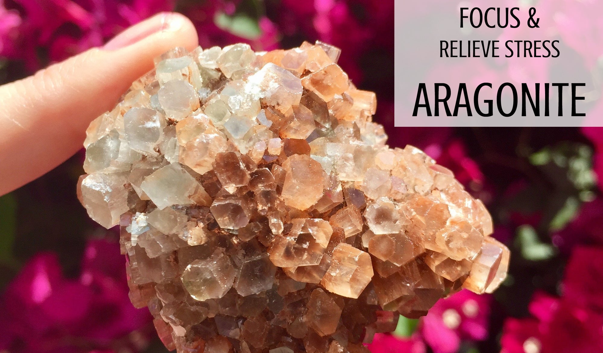 Learn More about Aragonite and its meanings