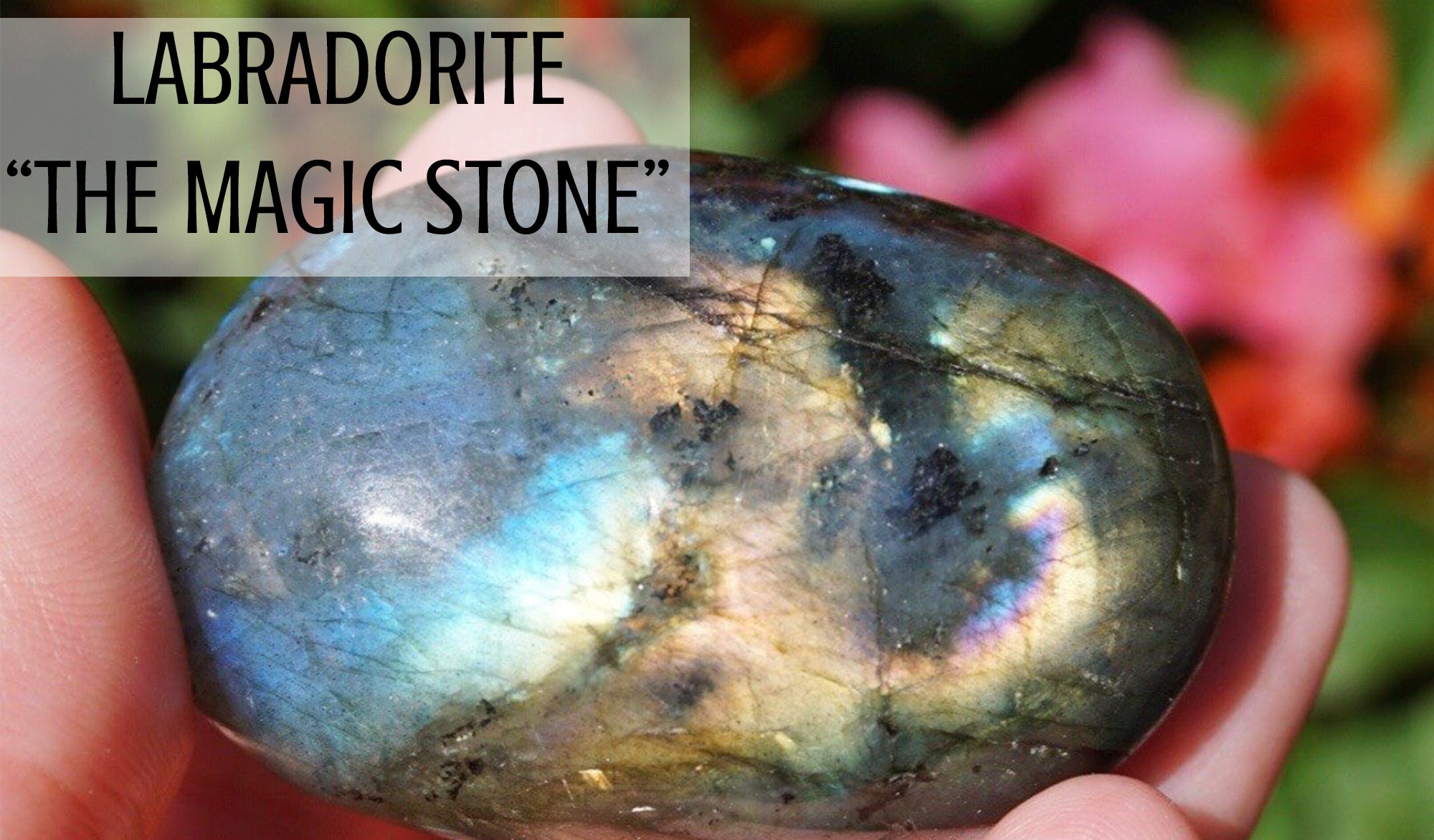 Learn more about the crystal Labradorite