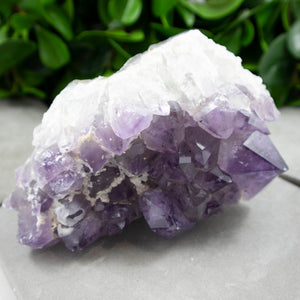 Large Amethyst Crystal Cluster - Sparkle Rock Pop