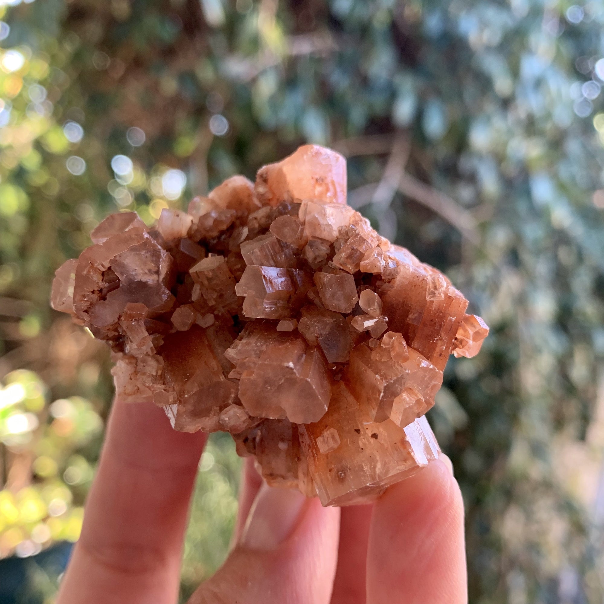 Aragonite Star Cluster - Sparkle Rock Pop