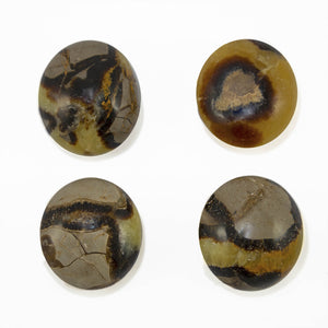 Septarian Dragon Stone - Sparkle Rock Pop