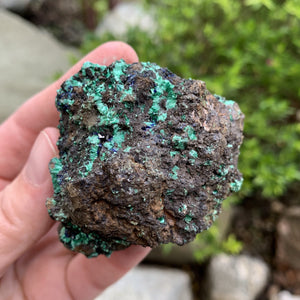 Azurite - Raw Stone Cluster - Sparkle Rock Pop