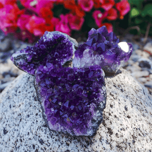 Amethyst Crystal Cluster - Sparkle Rock Pop