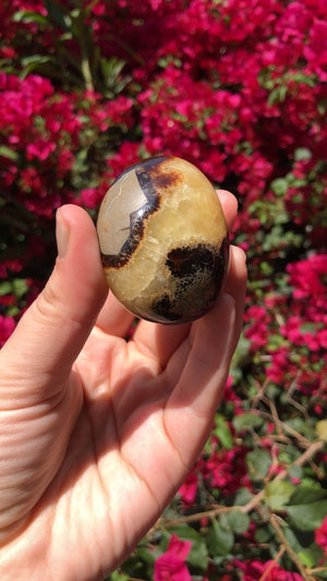 Septarian Dragon Stone - Sparkle Rock Pop