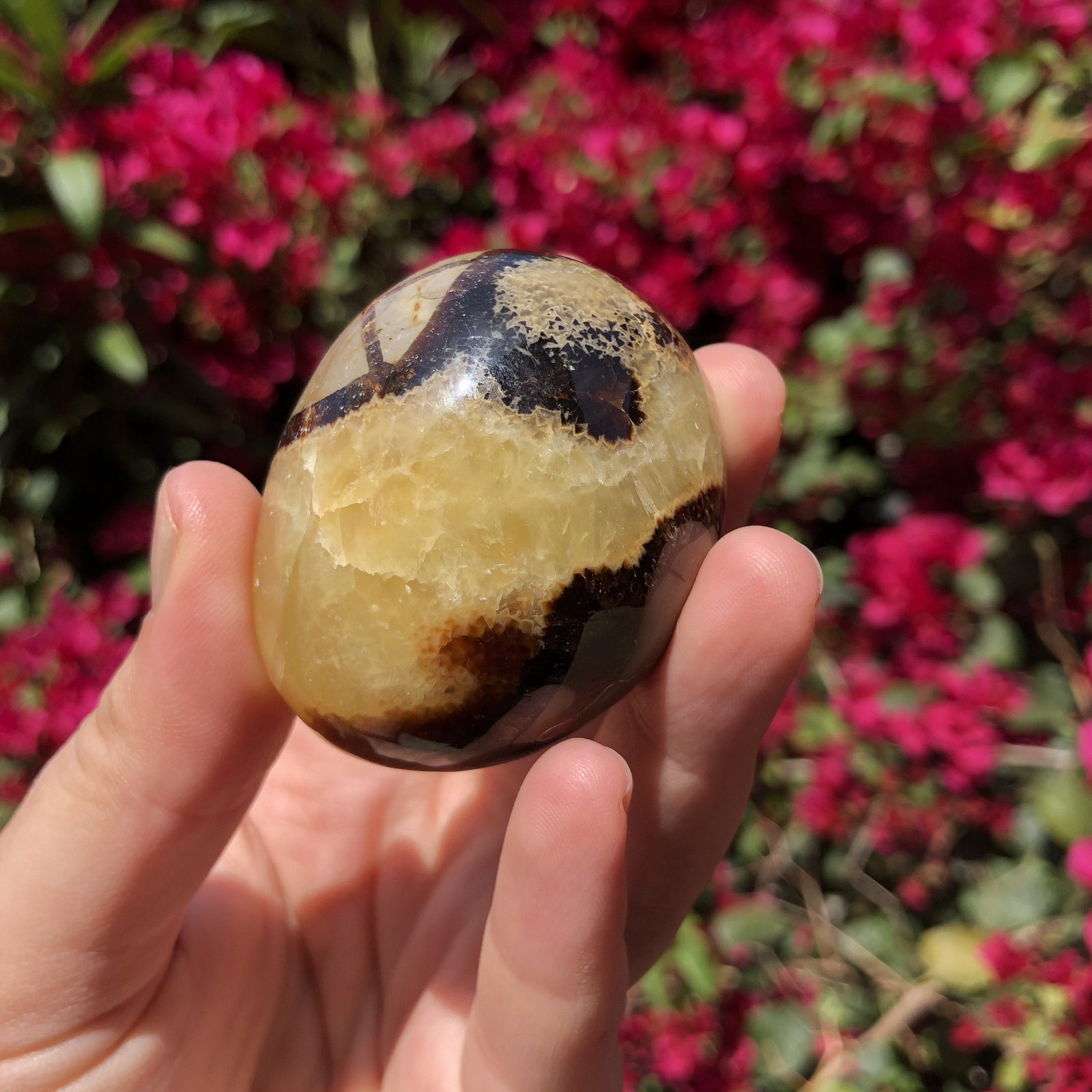 Septarian Dragon Stone - Sparkle Rock Pop