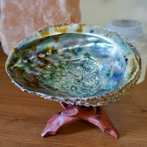 Abalone Shell - Sparkle Rock Pop