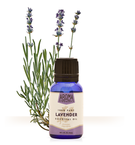 Lavender Essential Oil (15 ml) - Sparkle Rock Pop