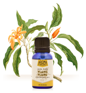 Ylang Ylang Essential Oil (15 ml) - Sparkle Rock Pop